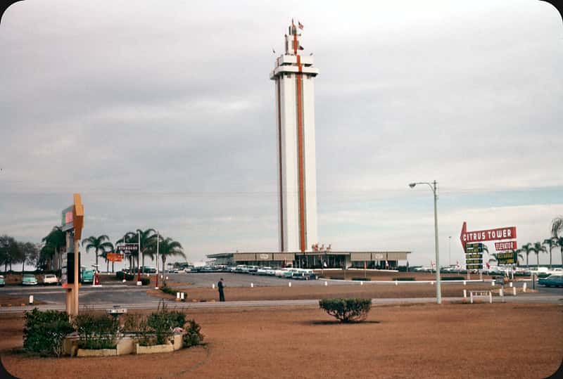 See Views For Miles and Miles From Citrus Tower in America & Canada Summer 2026 Tours