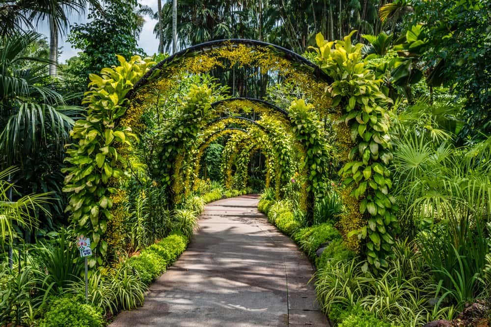 Stroll around Singapore Botanic Gardens in Delight Southeast Tours