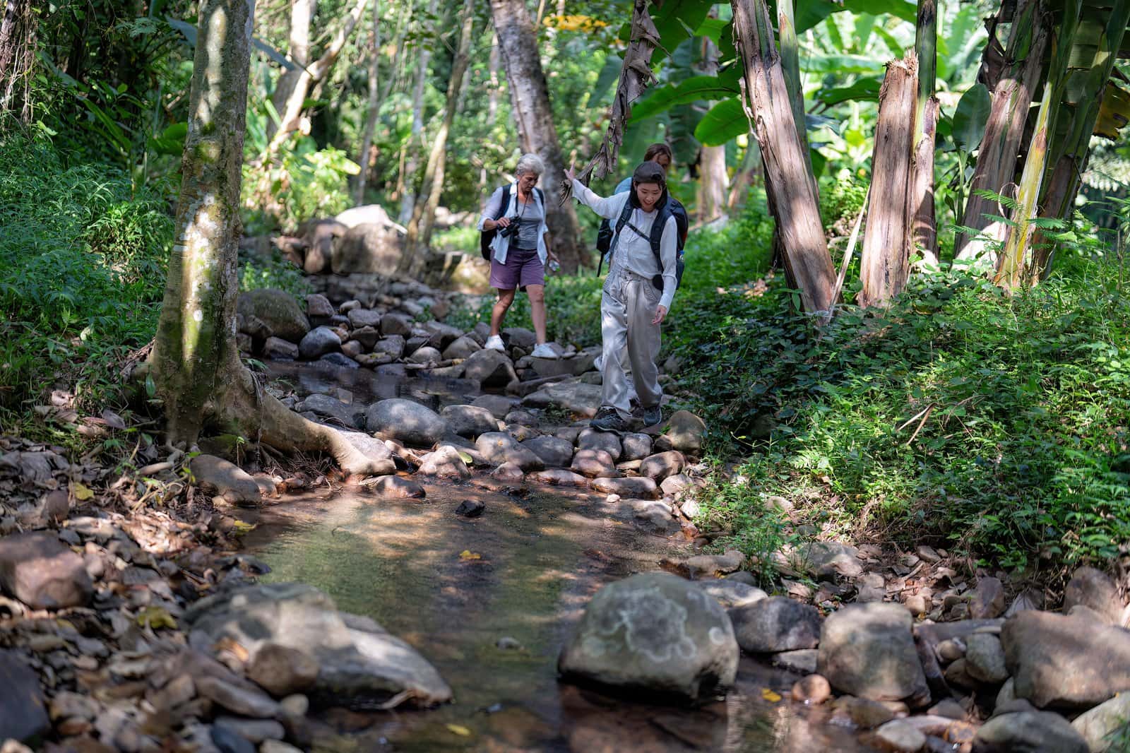 Take Part in Trekking/Walking Trail in India Summer 2026 Tours