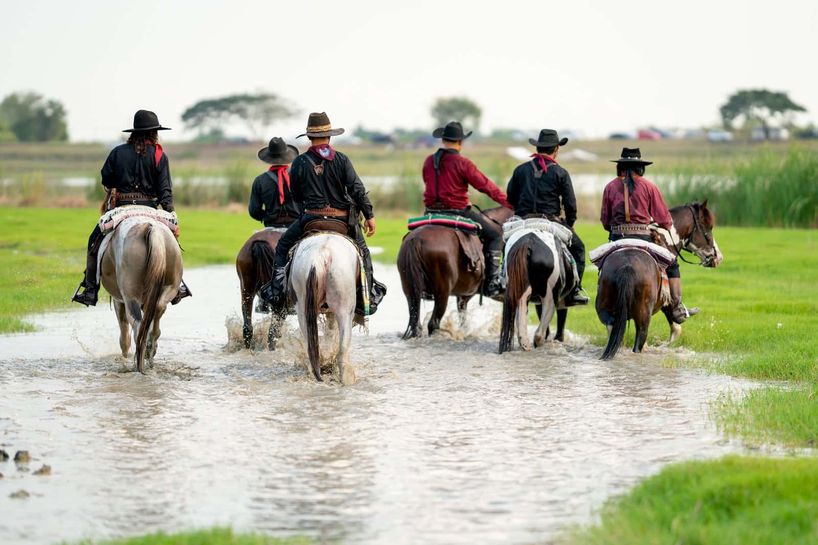 Try Horseback riding through the flooded Delta in Botswana