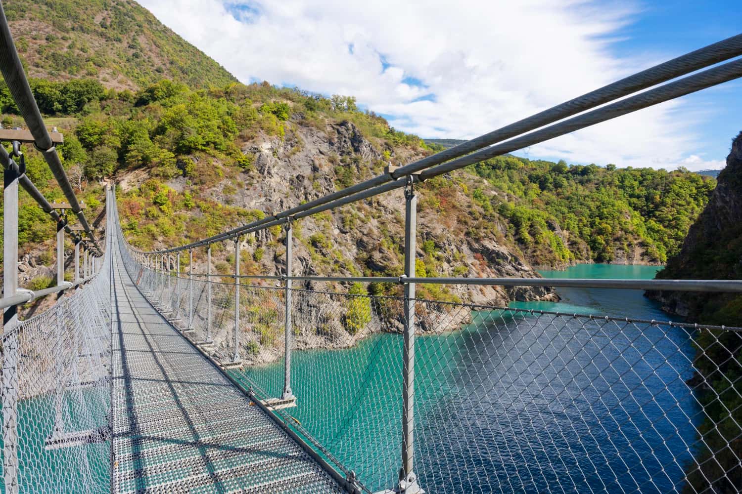 Tsitsikamma National Park with Suspension Bridge Walk in Africa Monsoon Tours