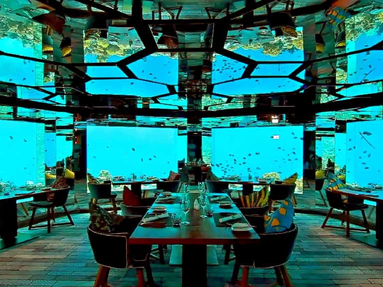 Underwater Dining Experience In Maldives in India & Subcontinent Monsoon Tours