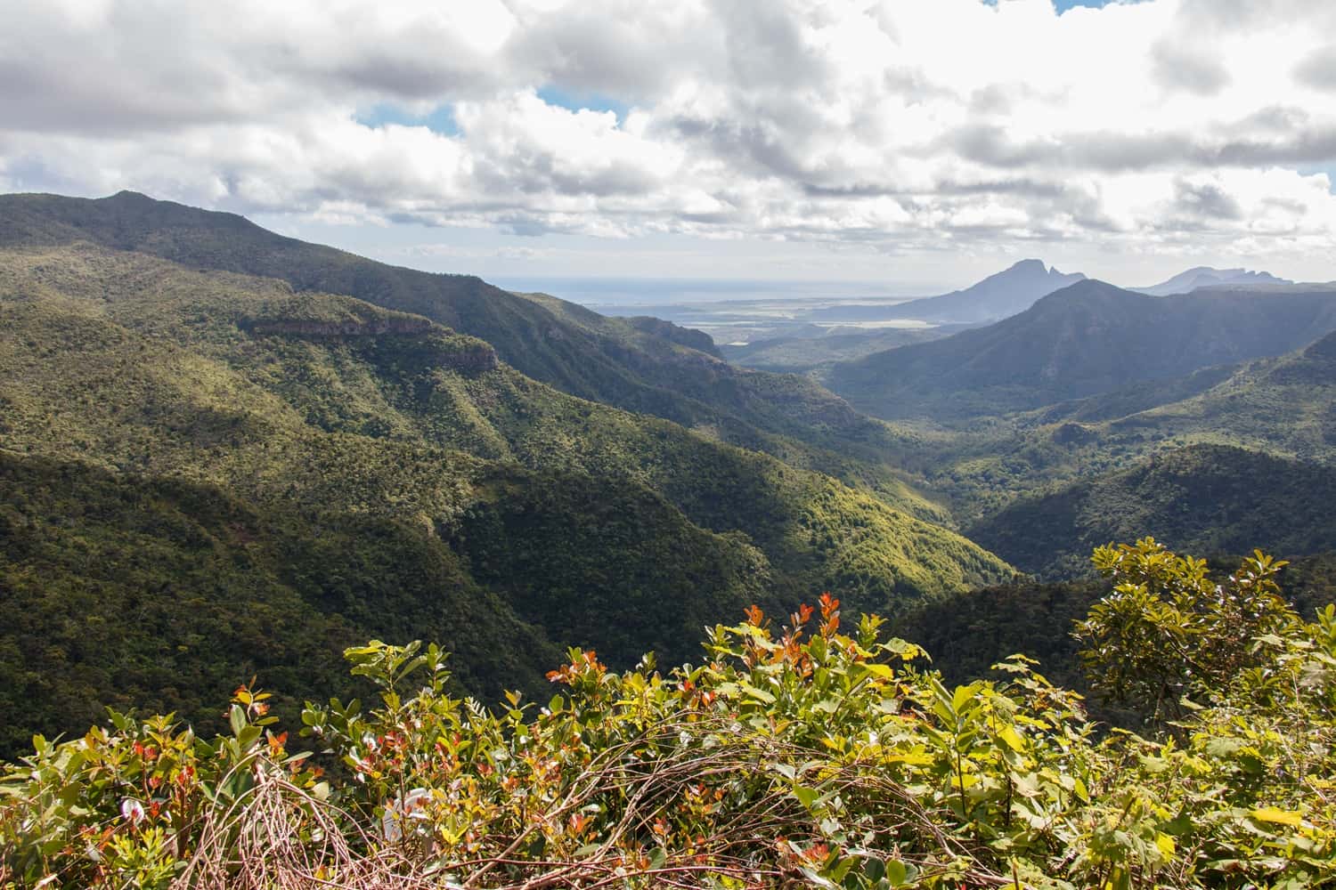 Black River Gorges National Park in Africa Summer 2026 Tours
