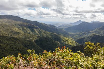 Black River Gorges National Park