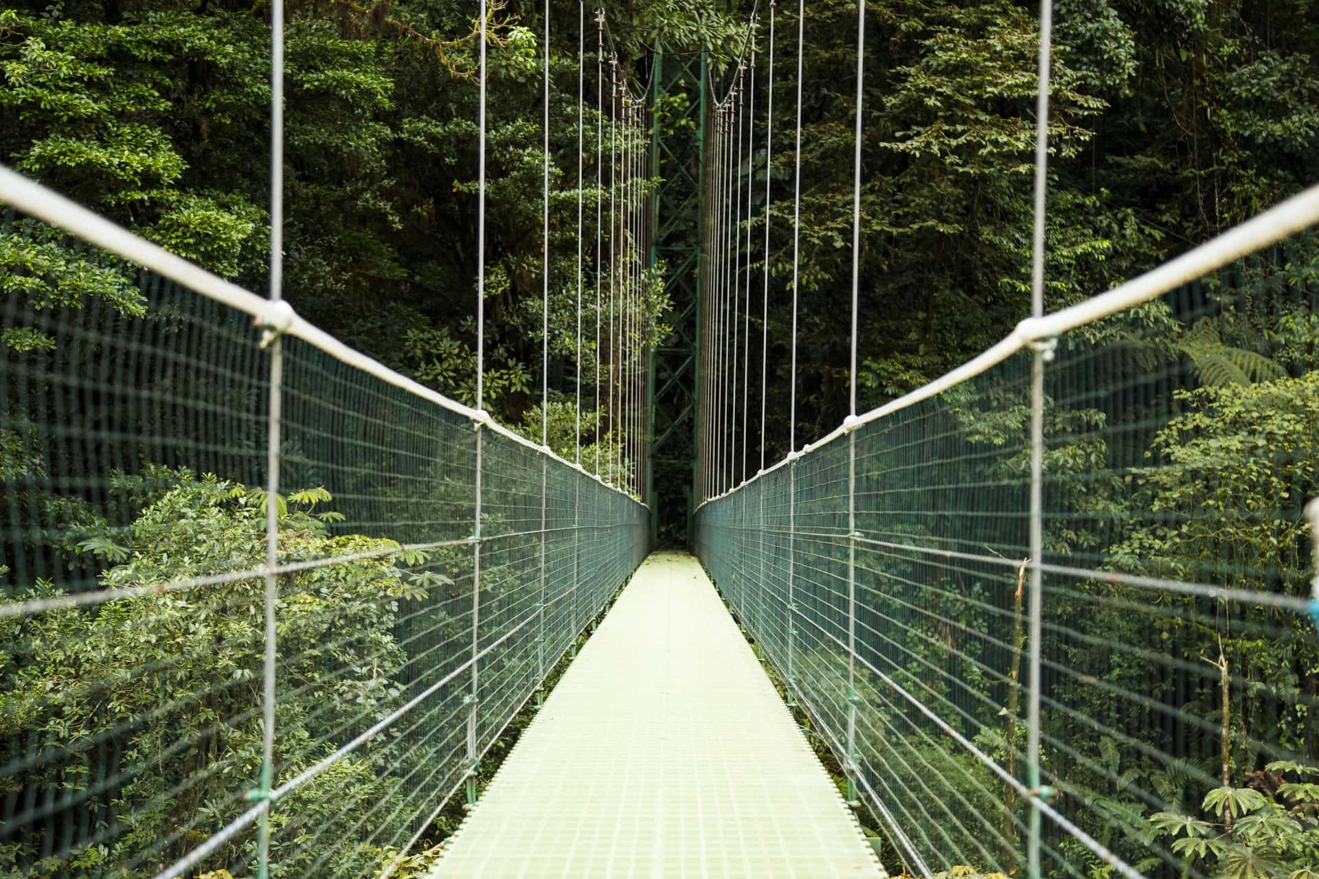 Capilano Suspension Bridge in America & Canada Summer 2026 Tours