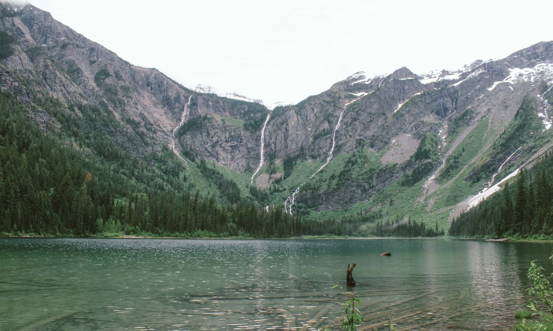 Cliff Dive At Horseshoe Lake in America & Canada Summer 2026 Tours