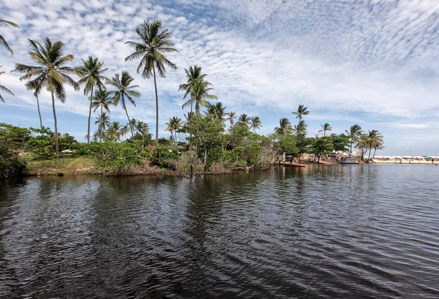 Enjoy a Boat Ride at Beira Lake in India Summer 2026 Tours