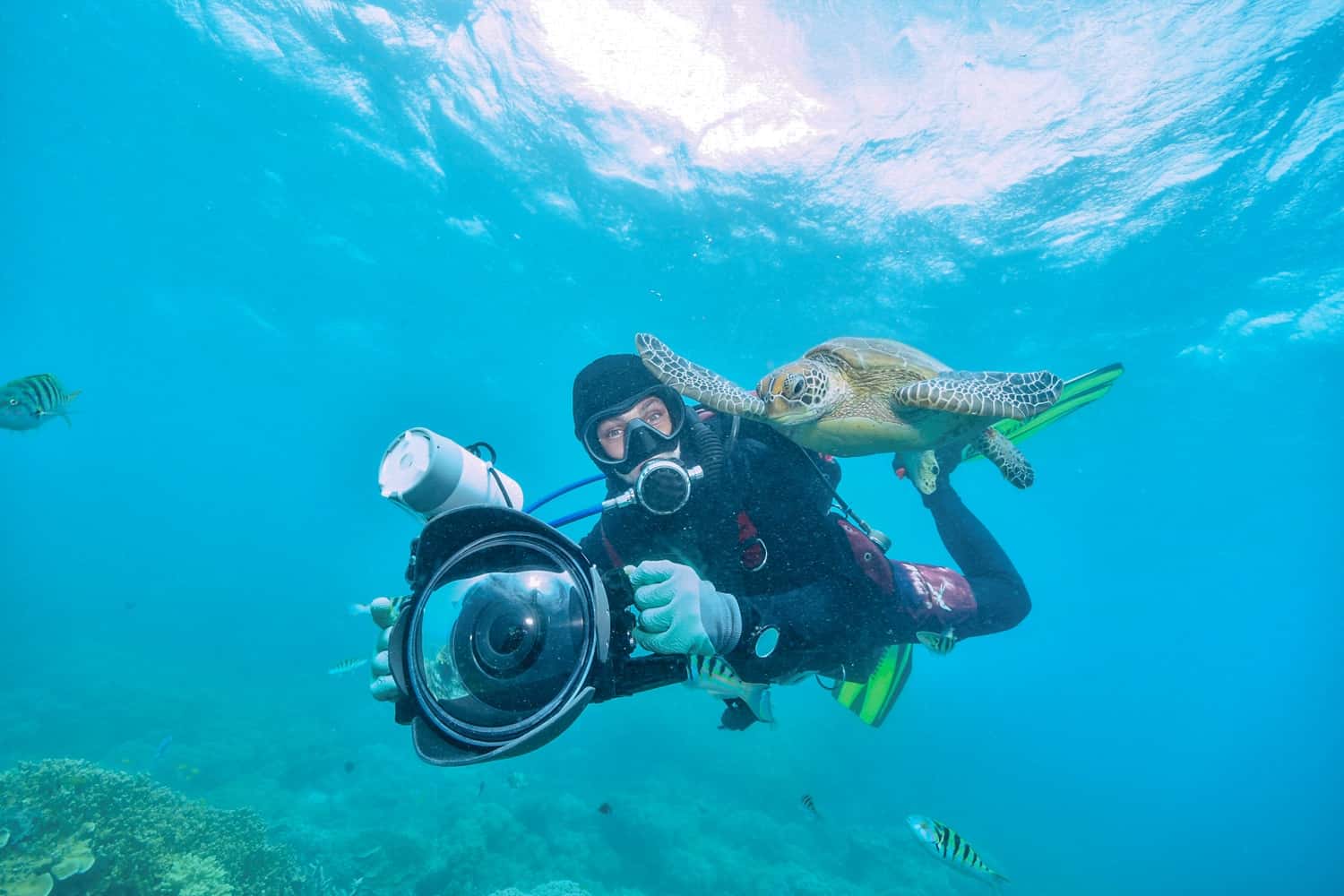 Experience Water Sports like Scuba Diving, Snorkeling and Surfing in India Summer 2026 Tours
