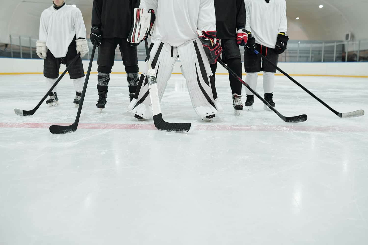 Get Up Close To An Ice Hockey Team in America & Canada Summer 2026 Tours