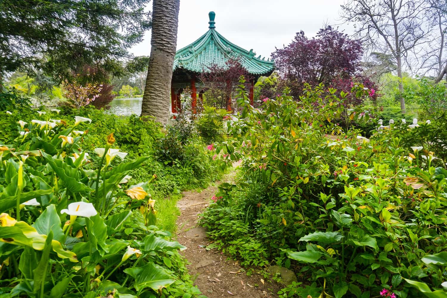 Learn About Spices At A Spice Garden in India Summer 2026 Tours