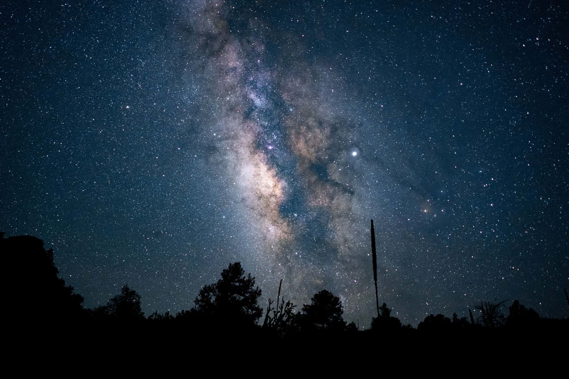 Stargaze In Jasper in America & Canada Summer 2026 Tours