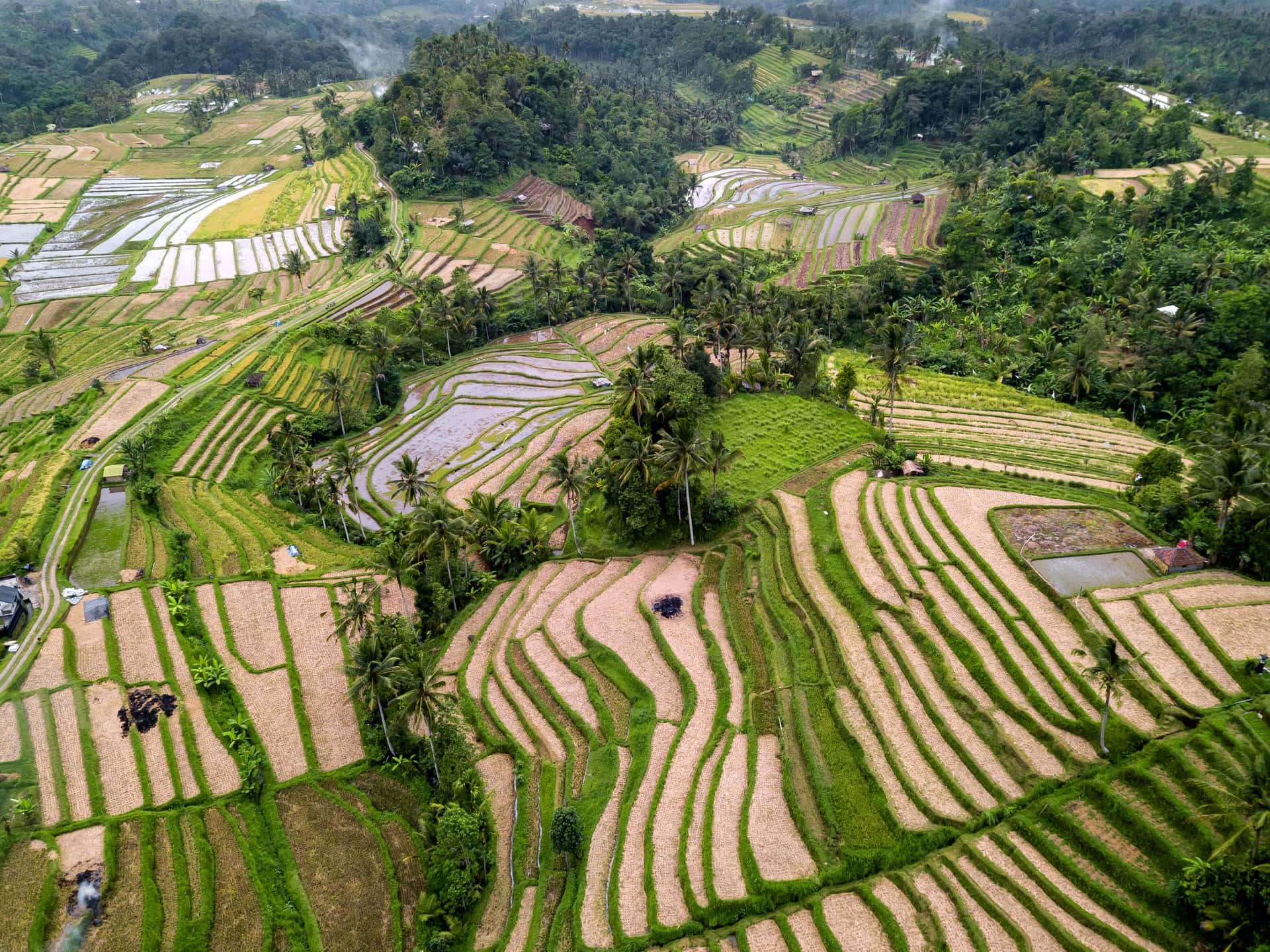 Discover UNESCO Classified Jatiluwih Rice Terrace in Delight Southeast Tours