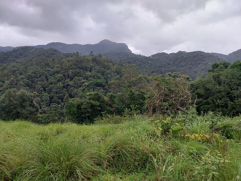 Wayanad